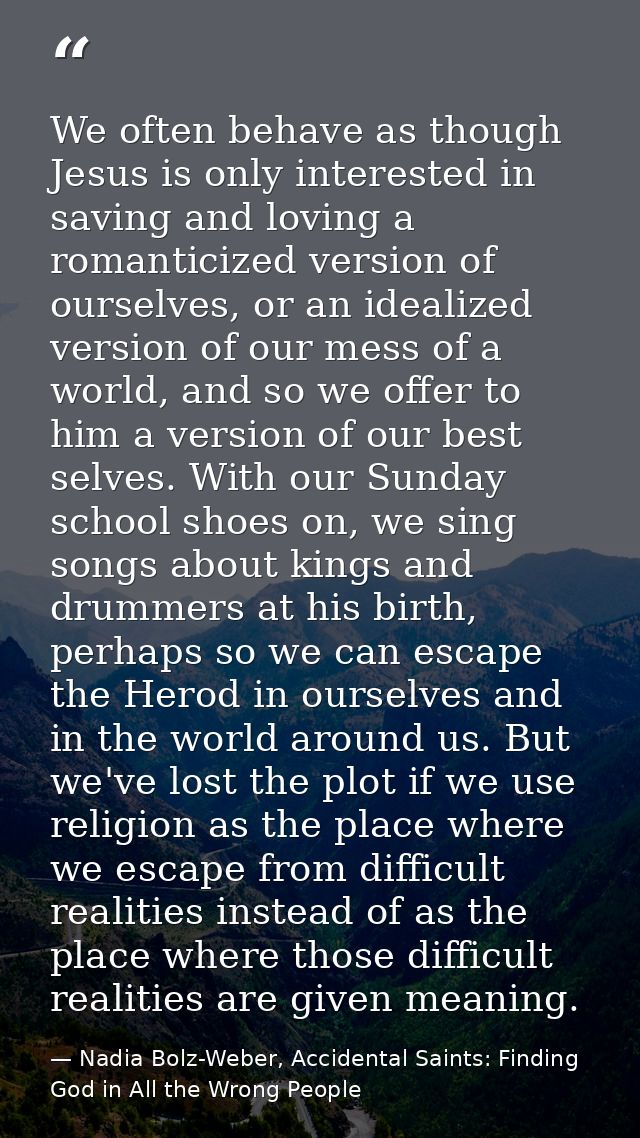 We often behave as though Jesus is only interested in saving and loving a romanticized version of ourselves, or an ideal — Nadia Bolz-Weber, Accidental Saints: Finding God in All the Wrong People