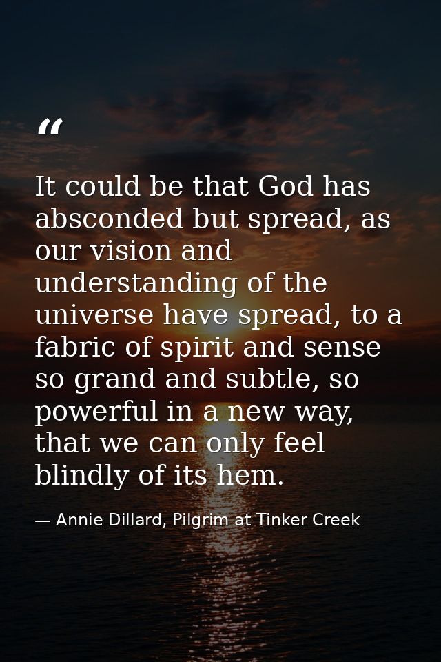 It could be that God has absconded but spread, as our vision and understanding of the universe have spread, to a fabric  — Annie Dillard, Pilgrim at Tinker Creek