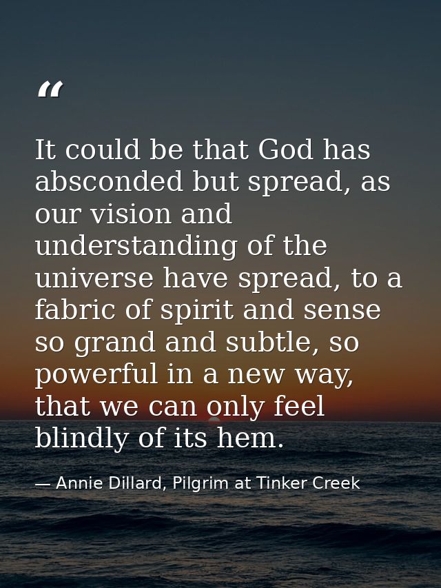 It could be that God has absconded but spread, as our vision and understanding of the universe have spread, to a fabric  — Annie Dillard, Pilgrim at Tinker Creek