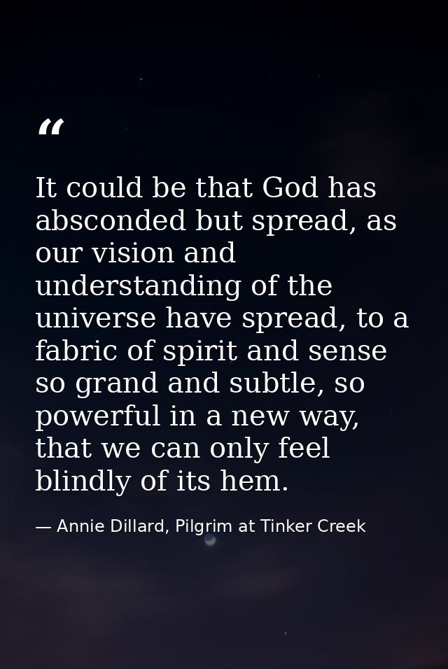 It could be that God has absconded but spread, as our vision and understanding of the universe have spread, to a fabric  — Annie Dillard, Pilgrim at Tinker Creek