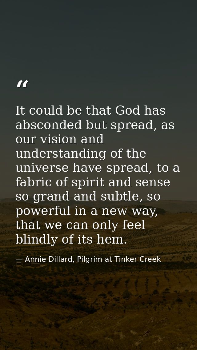 It could be that God has absconded but spread, as our vision and understanding of the universe have spread, to a fabric  — Annie Dillard, Pilgrim at Tinker Creek