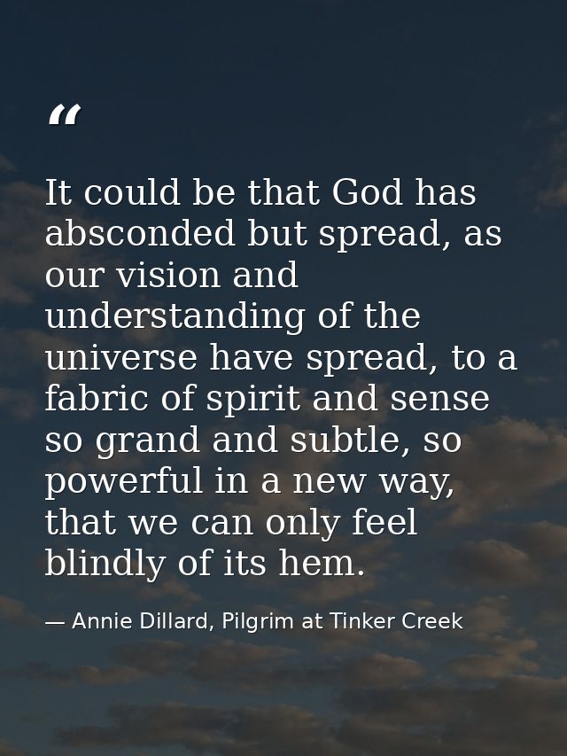 It could be that God has absconded but spread, as our vision and understanding of the universe have spread, to a fabric  — Annie Dillard, Pilgrim at Tinker Creek