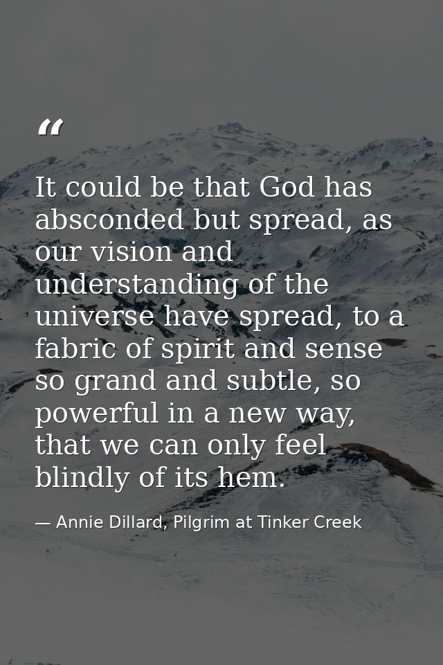 It could be that God has absconded but spread, as our vision and understanding of the universe have spread, to a fabric  — Annie Dillard, Pilgrim at Tinker Creek