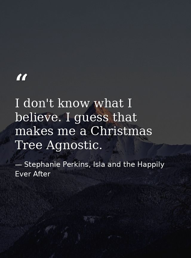 I don't know what I believe. I guess that makes me a Christmas Tree Agnostic. — Stephanie Perkins, Isla and the Happily Ever After