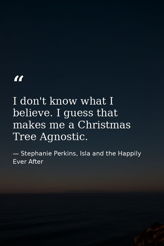 I don't know what I believe. I guess that makes me a Christmas Tree Agnostic. — Stephanie Perkins, Isla and the Happily Ever After