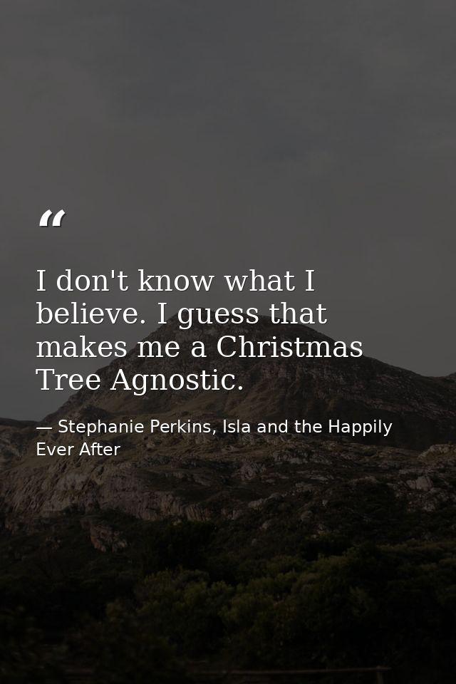 I don't know what I believe. I guess that makes me a Christmas Tree Agnostic. — Stephanie Perkins, Isla and the Happily Ever After