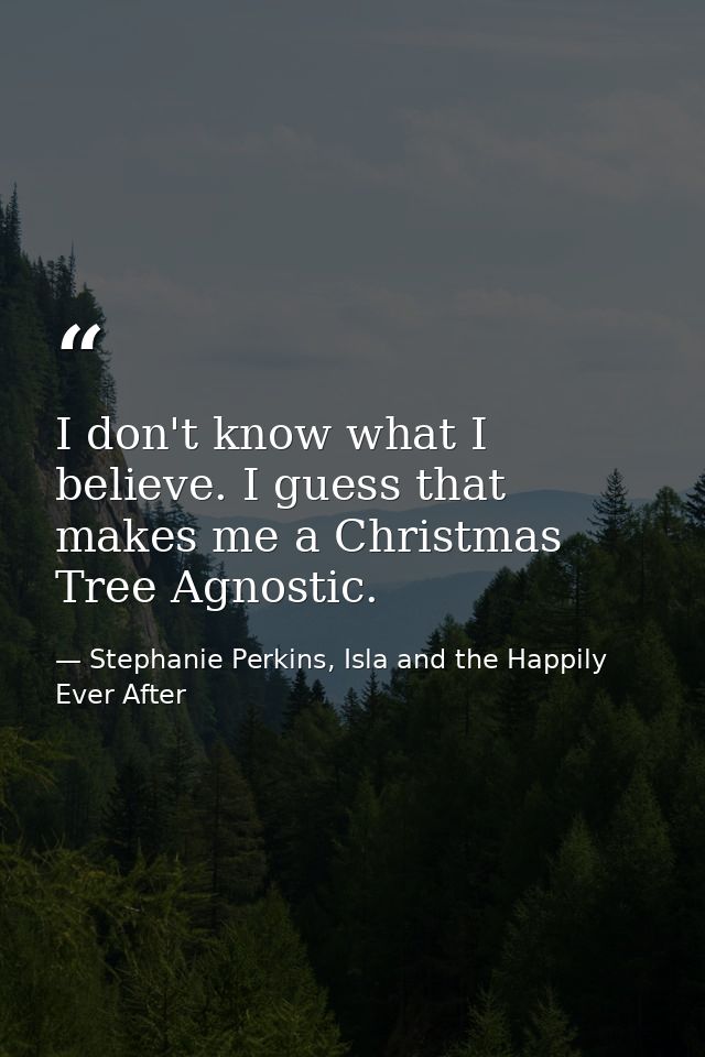 I don't know what I believe. I guess that makes me a Christmas Tree Agnostic. — Stephanie Perkins, Isla and the Happily Ever After