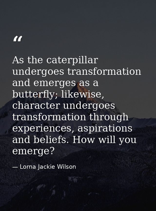 As the caterpillar undergoes transformation and emerges as a butterfly; likewise, character undergoes transformation thr — Lorna Jackie Wilson