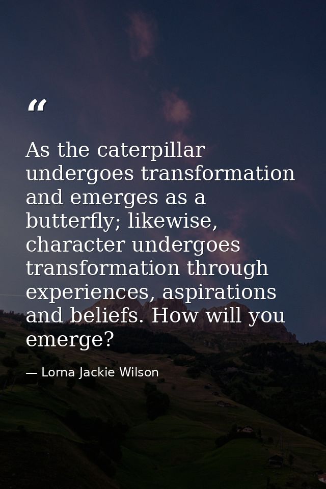 As the caterpillar undergoes transformation and emerges as a butterfly; likewise, character undergoes transformation thr — Lorna Jackie Wilson