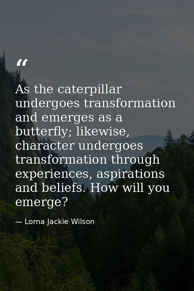 As the caterpillar undergoes transformation and emerges as a butterfly; likewise, character undergoes transformation thr — Lorna Jackie Wilson
