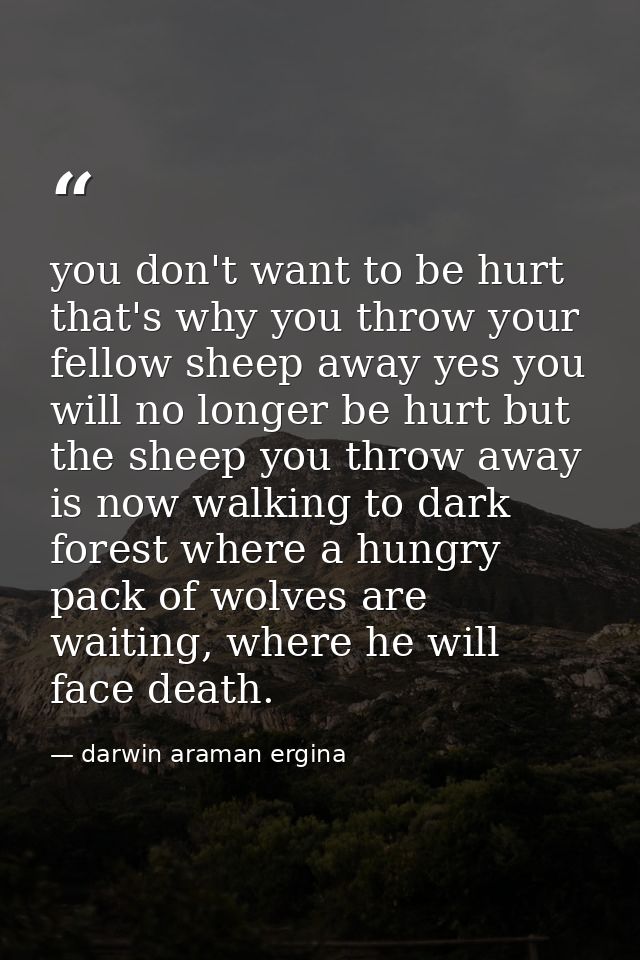 you don't want to be hurt that's why you throw your fellow sheep away yes you will no longer be hurt but the sheep you t — darwin araman ergina