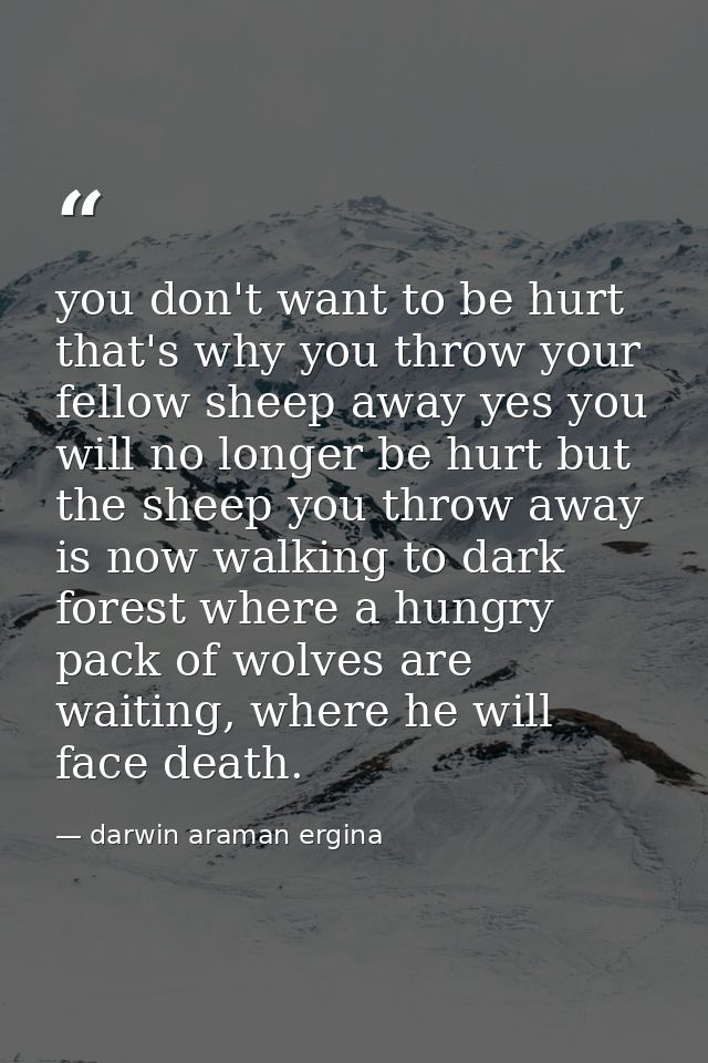 you don't want to be hurt that's why you throw your fellow sheep away yes you will no longer be hurt but the sheep you t — darwin araman ergina