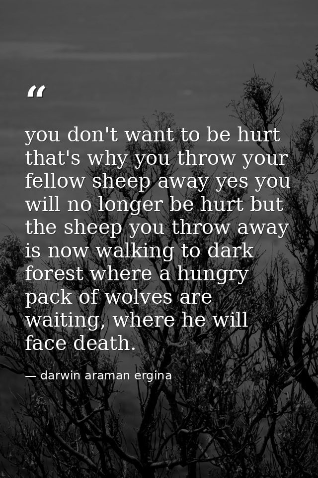 you don't want to be hurt that's why you throw your fellow sheep away yes you will no longer be hurt but the sheep you t — darwin araman ergina