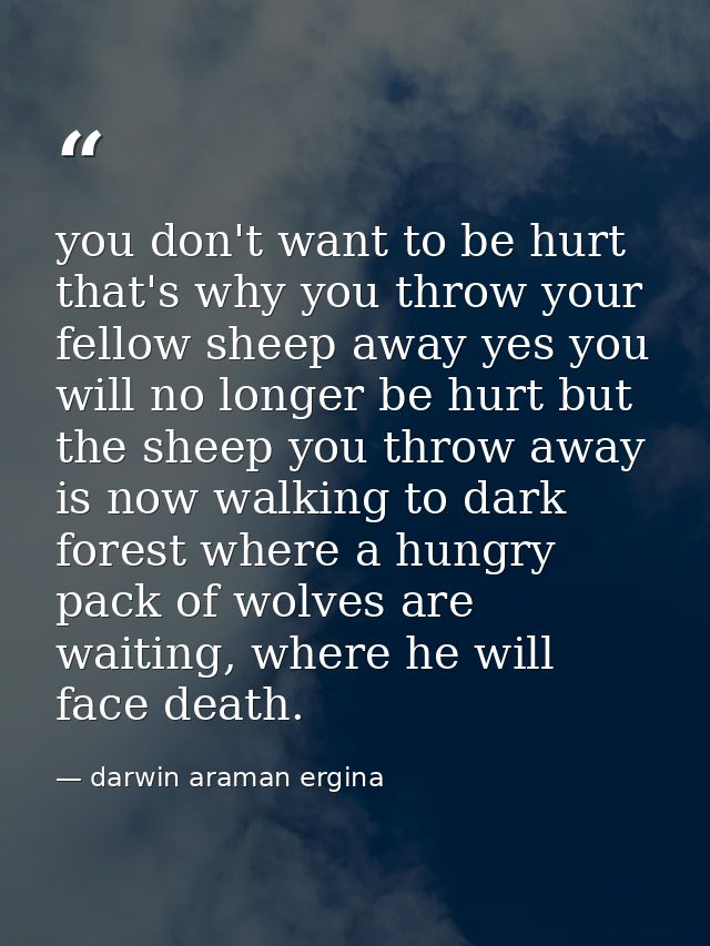 you don't want to be hurt that's why you throw your fellow sheep away yes you will no longer be hurt but the sheep you t — darwin araman ergina
