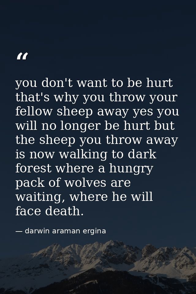 you don't want to be hurt that's why you throw your fellow sheep away yes you will no longer be hurt but the sheep you t — darwin araman ergina