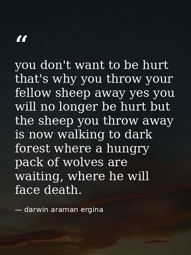 you don't want to be hurt that's why you throw your fellow sheep away yes you will no longer be hurt but the sheep you t — darwin araman ergina