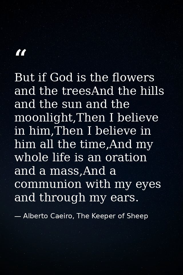 But if God is the flowers and the treesAnd the hills and the sun and the moonlight,Then I believe in him,Then I believe  — Alberto Caeiro, The Keeper of Sheep