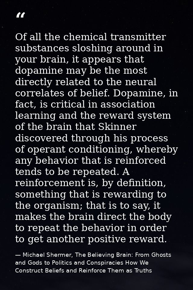 Of all the chemical transmitter substances sloshing around in your brain, it appears that dopamine may be the most direc — Michael Shermer, The Believing Brain: From Ghosts and Gods to Politics and Conspiracies How We Construct Beliefs and Reinforce Them as Truths
