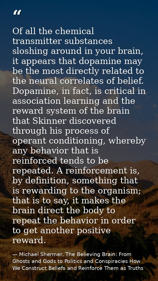 Of all the chemical transmitter substances sloshing around in your brain, it appears that dopamine may be the most direc — Michael Shermer, The Believing Brain: From Ghosts and Gods to Politics and Conspiracies How We Construct Beliefs and Reinforce Them as Truths