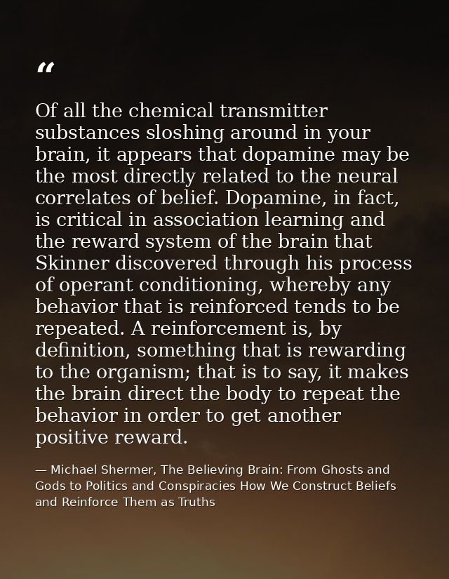 Of all the chemical transmitter substances sloshing around in your brain, it appears that dopamine may be the most direc — Michael Shermer, The Believing Brain: From Ghosts and Gods to Politics and Conspiracies How We Construct Beliefs and Reinforce Them as Truths