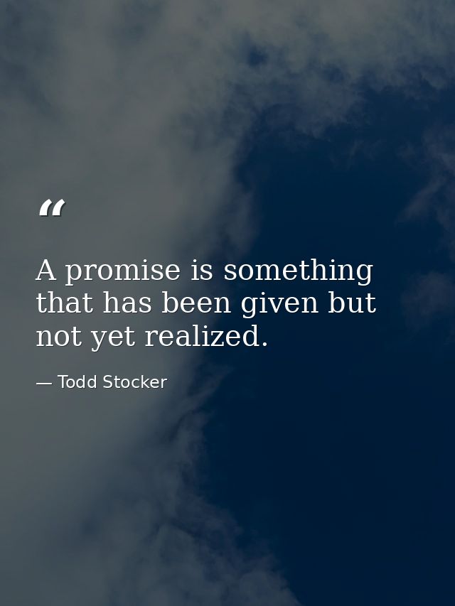 A promise is something that has been given but not yet realized. — Todd Stocker