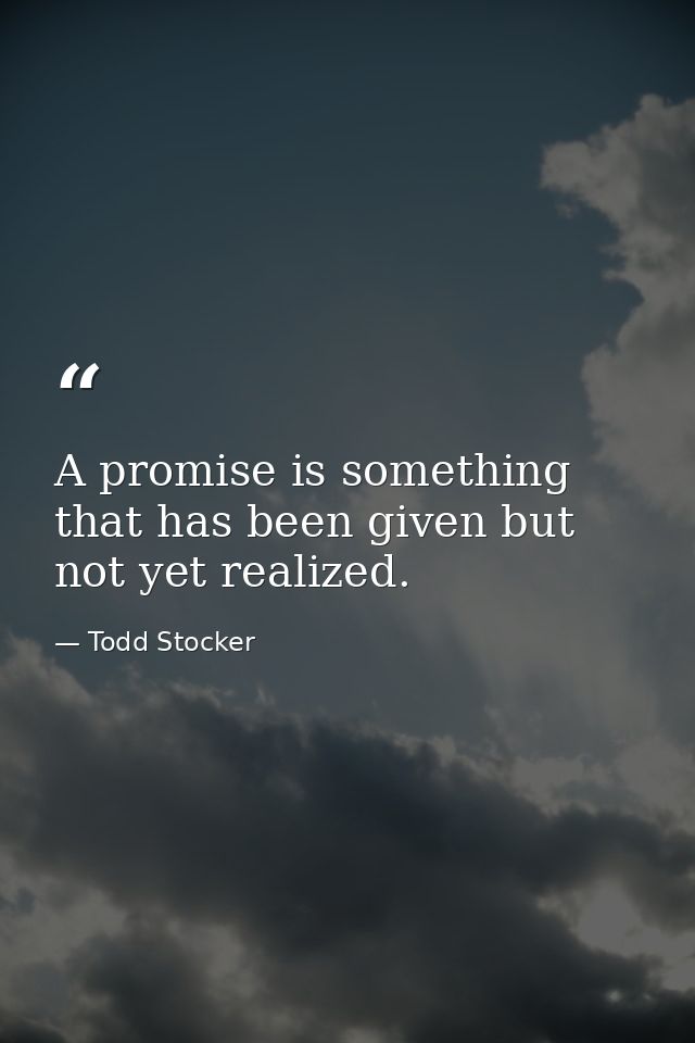 A promise is something that has been given but not yet realized. — Todd Stocker