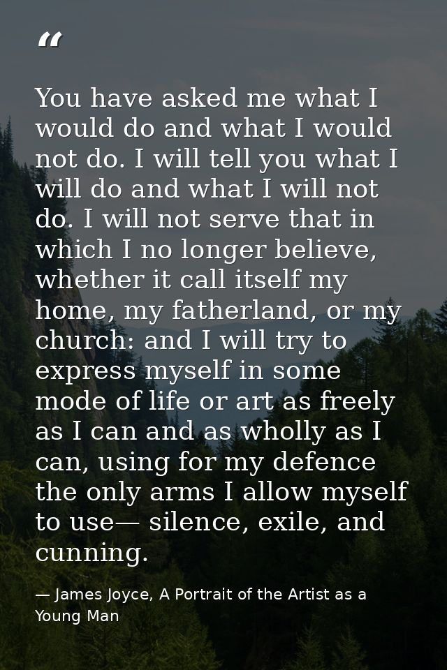 You have asked me what I would do and what I would not do. I will tell you what I will do and what I will not do. I will — James Joyce, A Portrait of the Artist as a Young Man