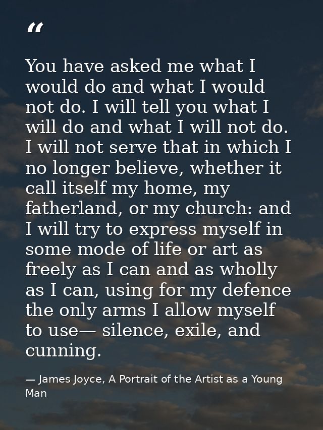 You have asked me what I would do and what I would not do. I will tell you what I will do and what I will not do. I will — James Joyce, A Portrait of the Artist as a Young Man