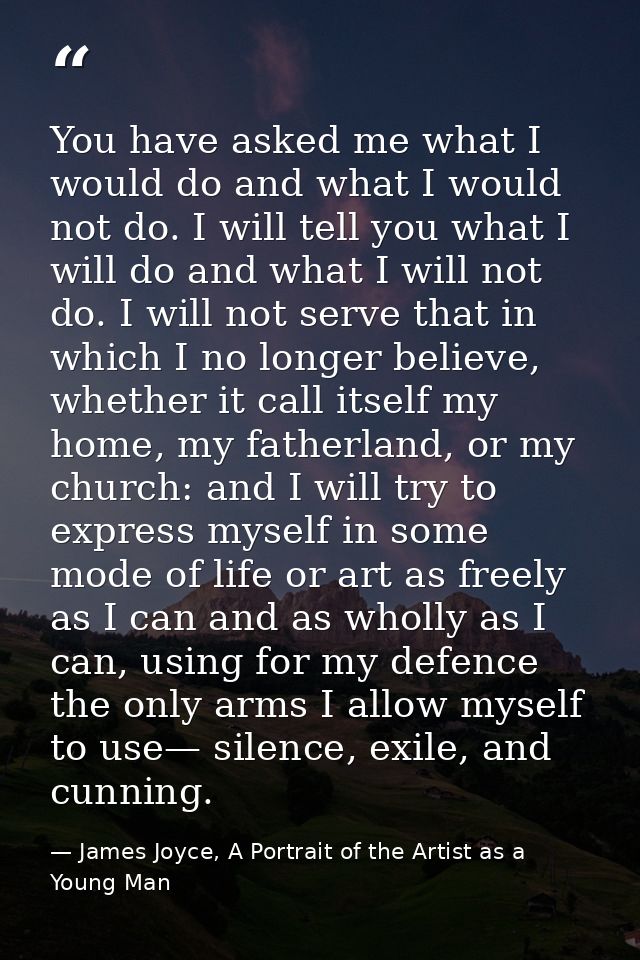 You have asked me what I would do and what I would not do. I will tell you what I will do and what I will not do. I will — James Joyce, A Portrait of the Artist as a Young Man
