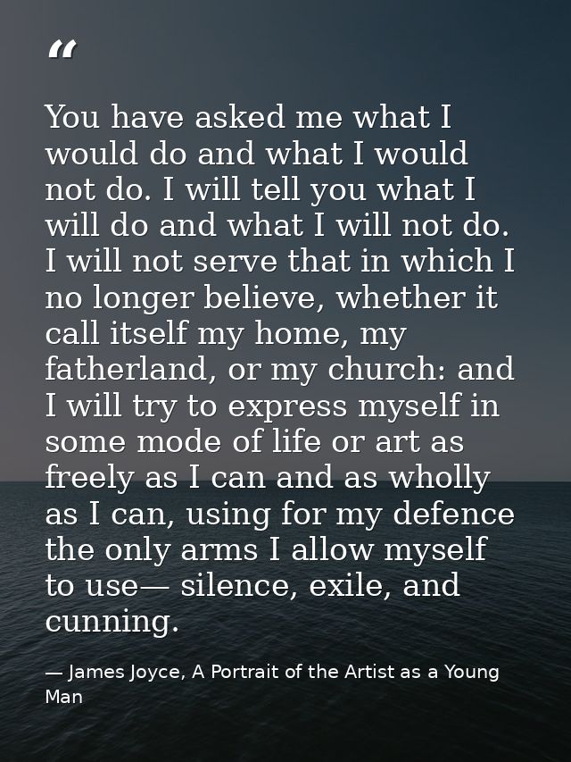You have asked me what I would do and what I would not do. I will tell you what I will do and what I will not do. I will — James Joyce, A Portrait of the Artist as a Young Man