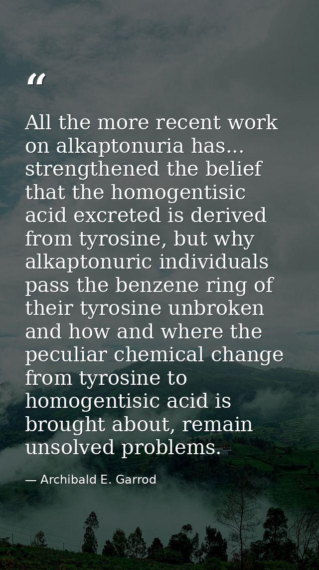 All the more recent work on alkaptonuria has... strengthened the belief that the homogentisic acid excreted is derived f — Archibald E. Garrod