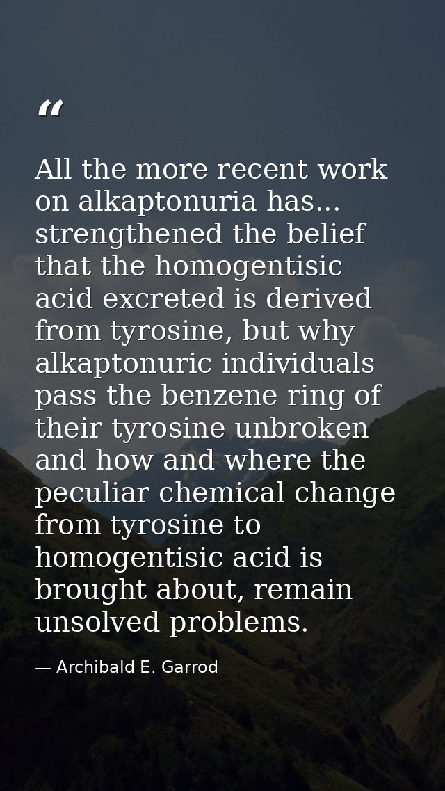 All the more recent work on alkaptonuria has... strengthened the belief that the homogentisic acid excreted is derived f — Archibald E. Garrod