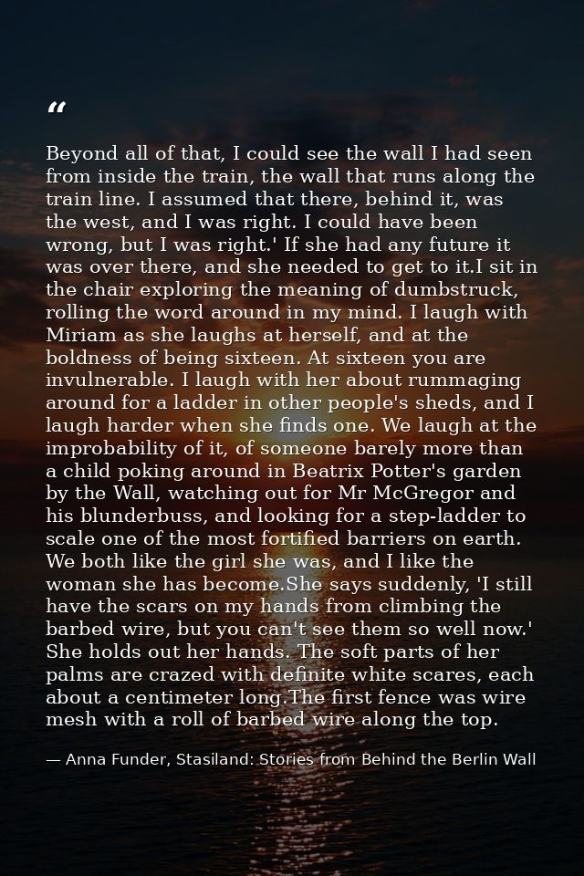 Beyond all of that, I could see the wall I had seen from inside the train, the wall that runs along the train line. I as — Anna Funder, Stasiland: Stories from Behind the Berlin Wall
