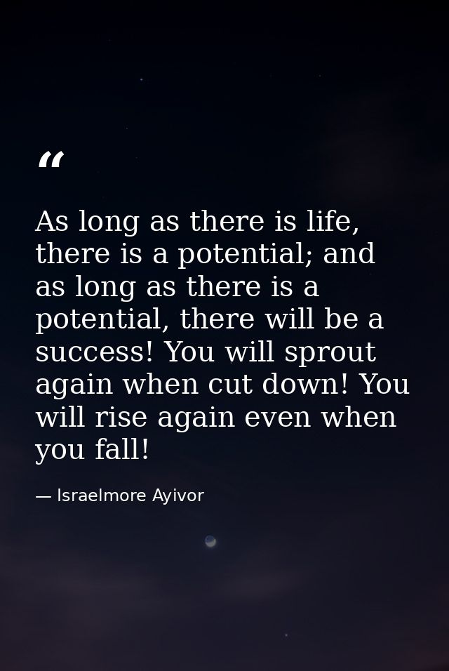 As long as there is life, there is a potential; and as long as there is a potential, there will be a success! You will s — Israelmore Ayivor