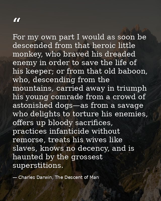 For my own part I would as soon be descended from that heroic little monkey, who braved his dreaded enemy in order to sa — Charles Darwin, The Descent of Man