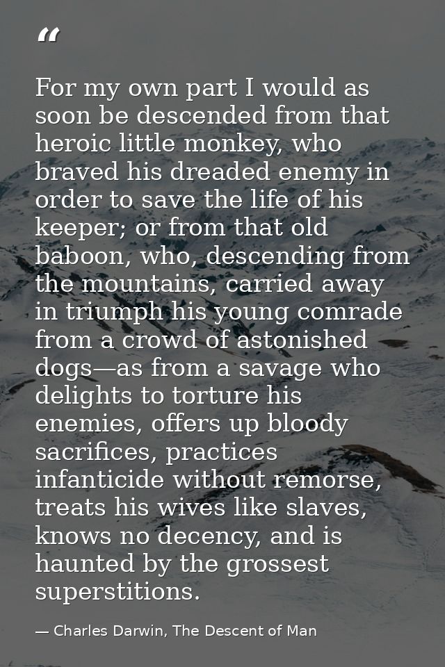 For my own part I would as soon be descended from that heroic little monkey, who braved his dreaded enemy in order to sa — Charles Darwin, The Descent of Man