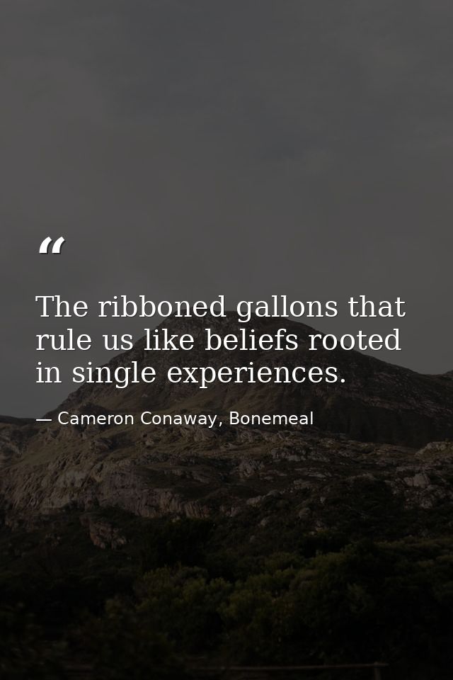 The ribboned gallons that rule us like beliefs rooted in single experiences. — Cameron Conaway, Bonemeal
