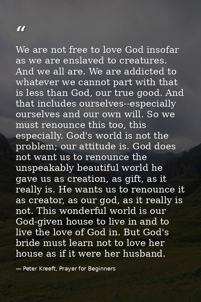 We are not free to love God insofar as we are enslaved to creatures. And we all are. We are addicted to whatever we cann — Peter Kreeft, Prayer for Beginners