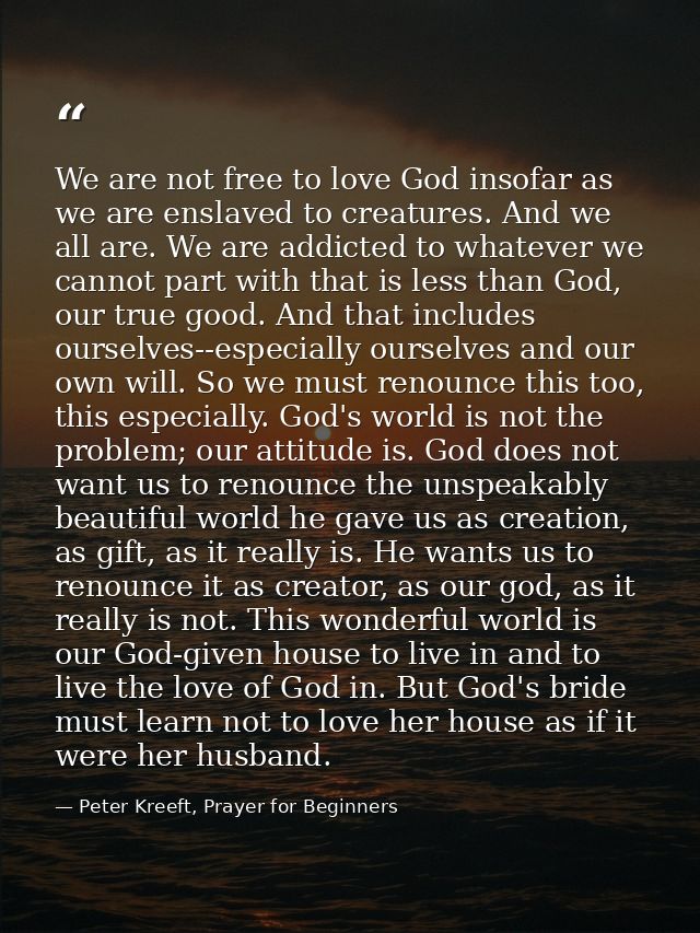 We are not free to love God insofar as we are enslaved to creatures. And we all are. We are addicted to whatever we cann — Peter Kreeft, Prayer for Beginners