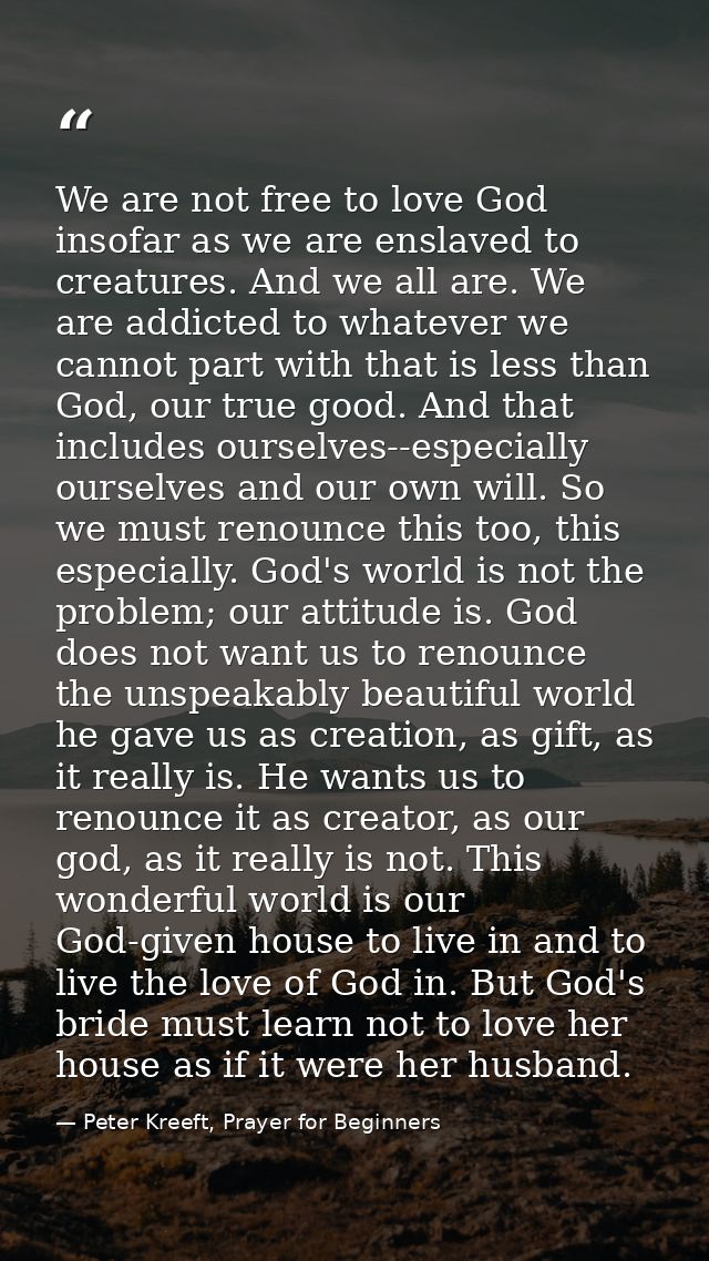 We are not free to love God insofar as we are enslaved to creatures. And we all are. We are addicted to whatever we cann — Peter Kreeft, Prayer for Beginners
