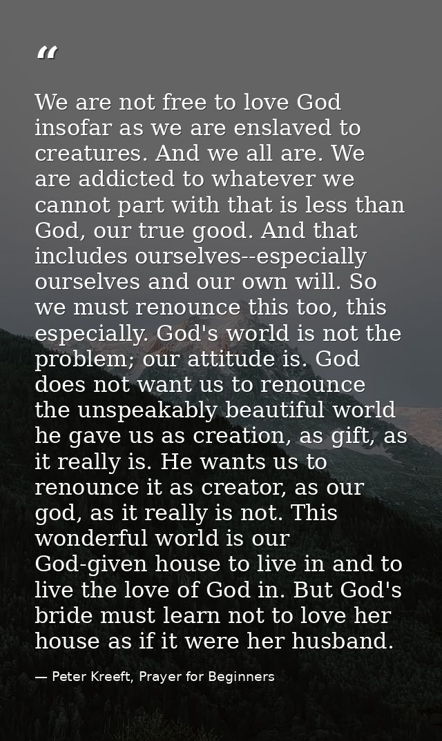 We are not free to love God insofar as we are enslaved to creatures. And we all are. We are addicted to whatever we cann — Peter Kreeft, Prayer for Beginners