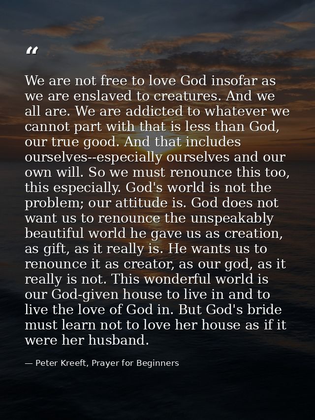 We are not free to love God insofar as we are enslaved to creatures. And we all are. We are addicted to whatever we cann — Peter Kreeft, Prayer for Beginners