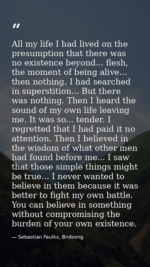All my life I had lived on the presumption that there was no existence beyond... flesh, the moment of being alive... the — Sebastian Faulks, Birdsong