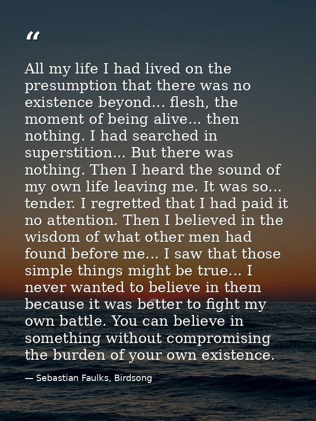 All my life I had lived on the presumption that there was no existence beyond... flesh, the moment of being alive... the — Sebastian Faulks, Birdsong