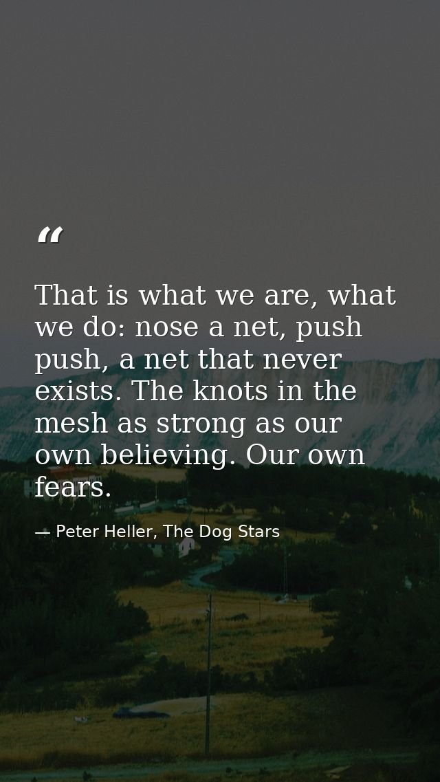 That is what we are, what we do: nose a net, push push, a net that never exists. The knots in the mesh as strong as our  — Peter Heller, The Dog Stars