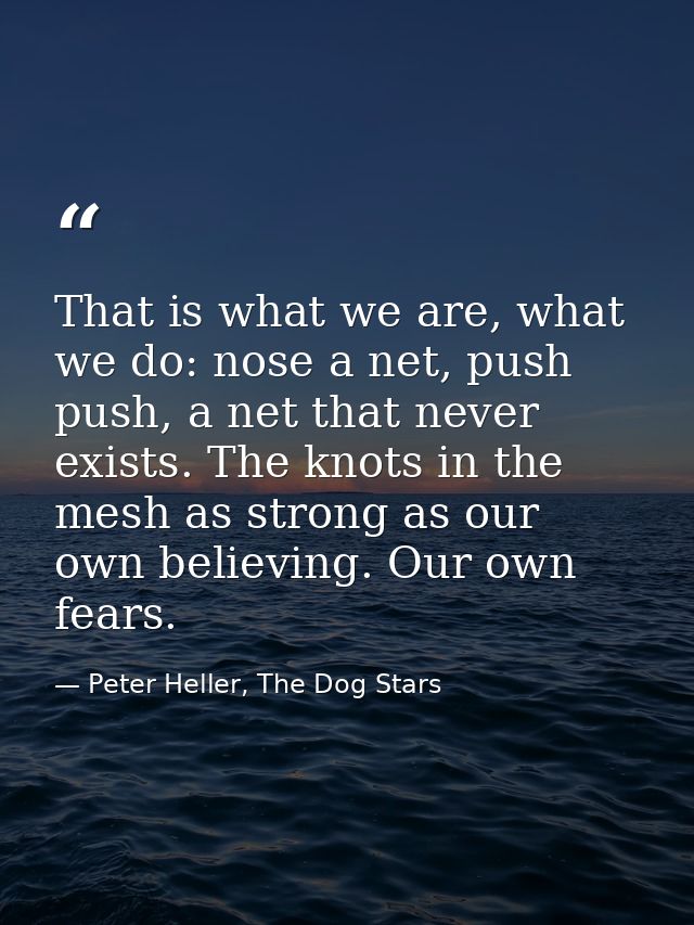That is what we are, what we do: nose a net, push push, a net that never exists. The knots in the mesh as strong as our  — Peter Heller, The Dog Stars