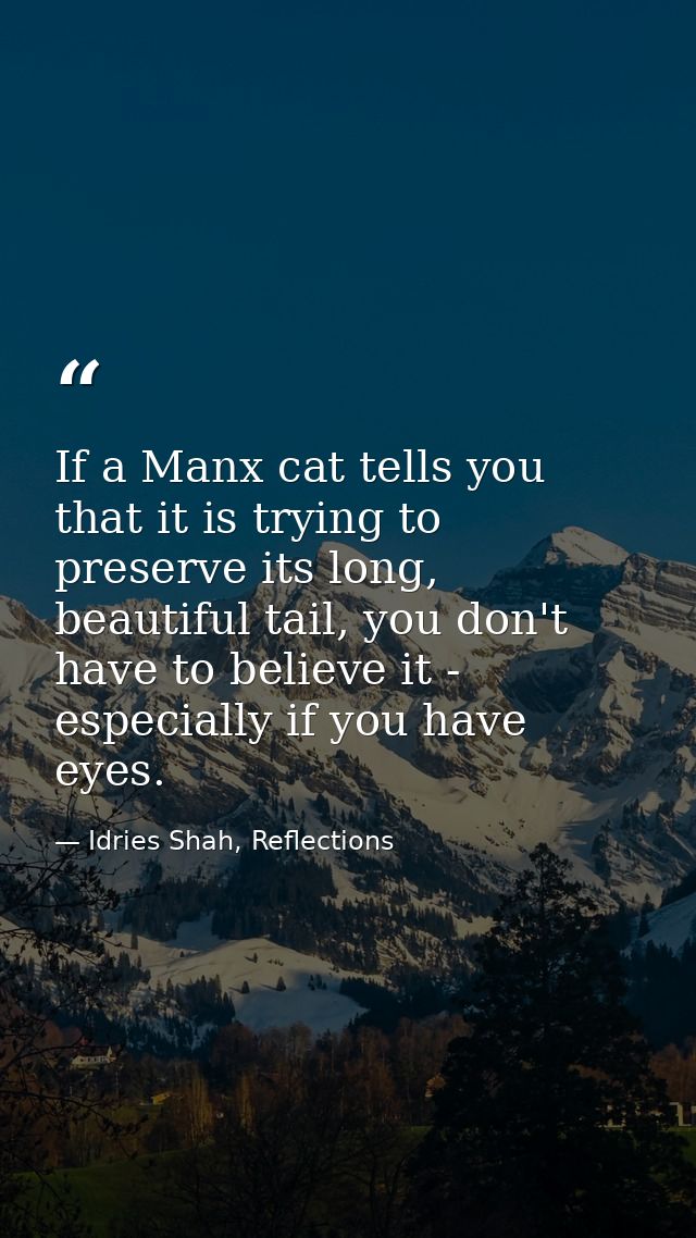 If a Manx cat tells you that it is trying to preserve its long, beautiful tail, you don't have to believe it - especiall — Idries Shah, Reflections