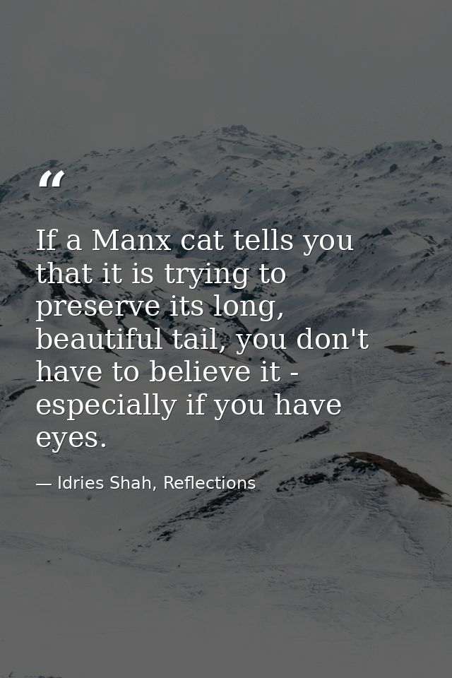 If a Manx cat tells you that it is trying to preserve its long, beautiful tail, you don't have to believe it - especiall — Idries Shah, Reflections
