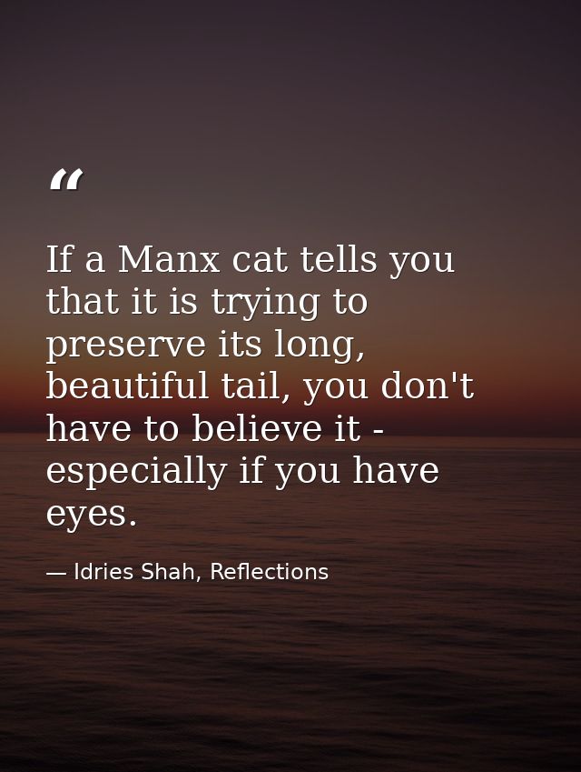 If a Manx cat tells you that it is trying to preserve its long, beautiful tail, you don't have to believe it - especiall — Idries Shah, Reflections