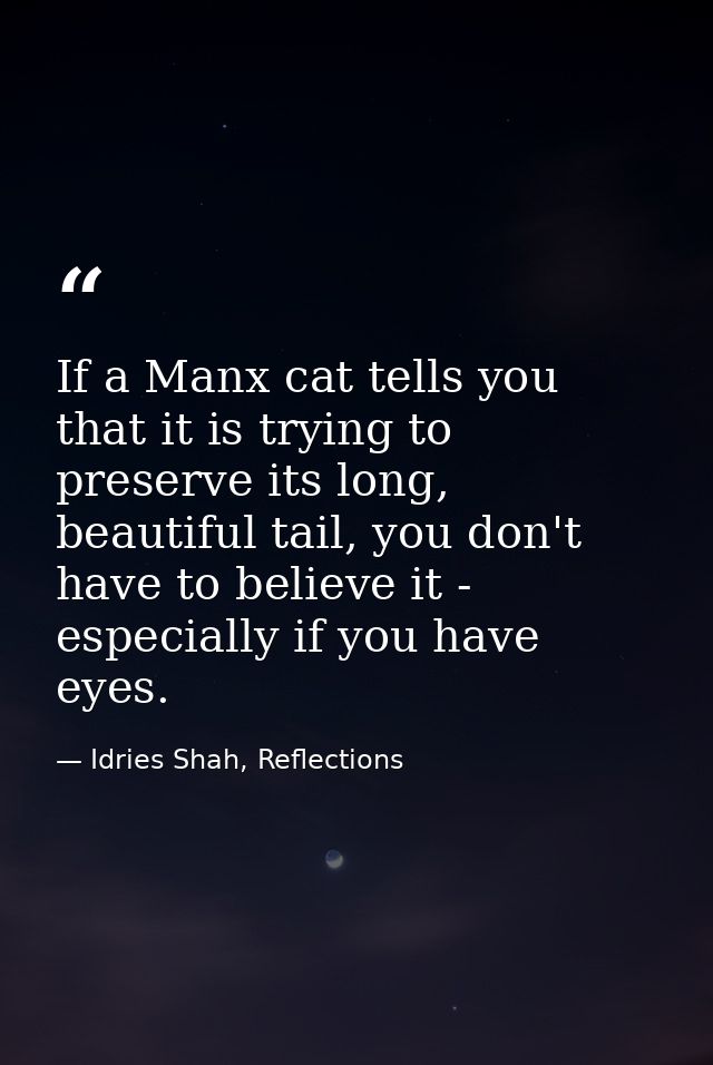 If a Manx cat tells you that it is trying to preserve its long, beautiful tail, you don't have to believe it - especiall — Idries Shah, Reflections